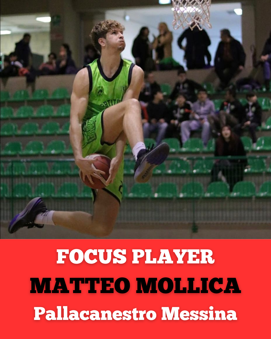 FOCUS PLAYER: MATTEO MOLLICA